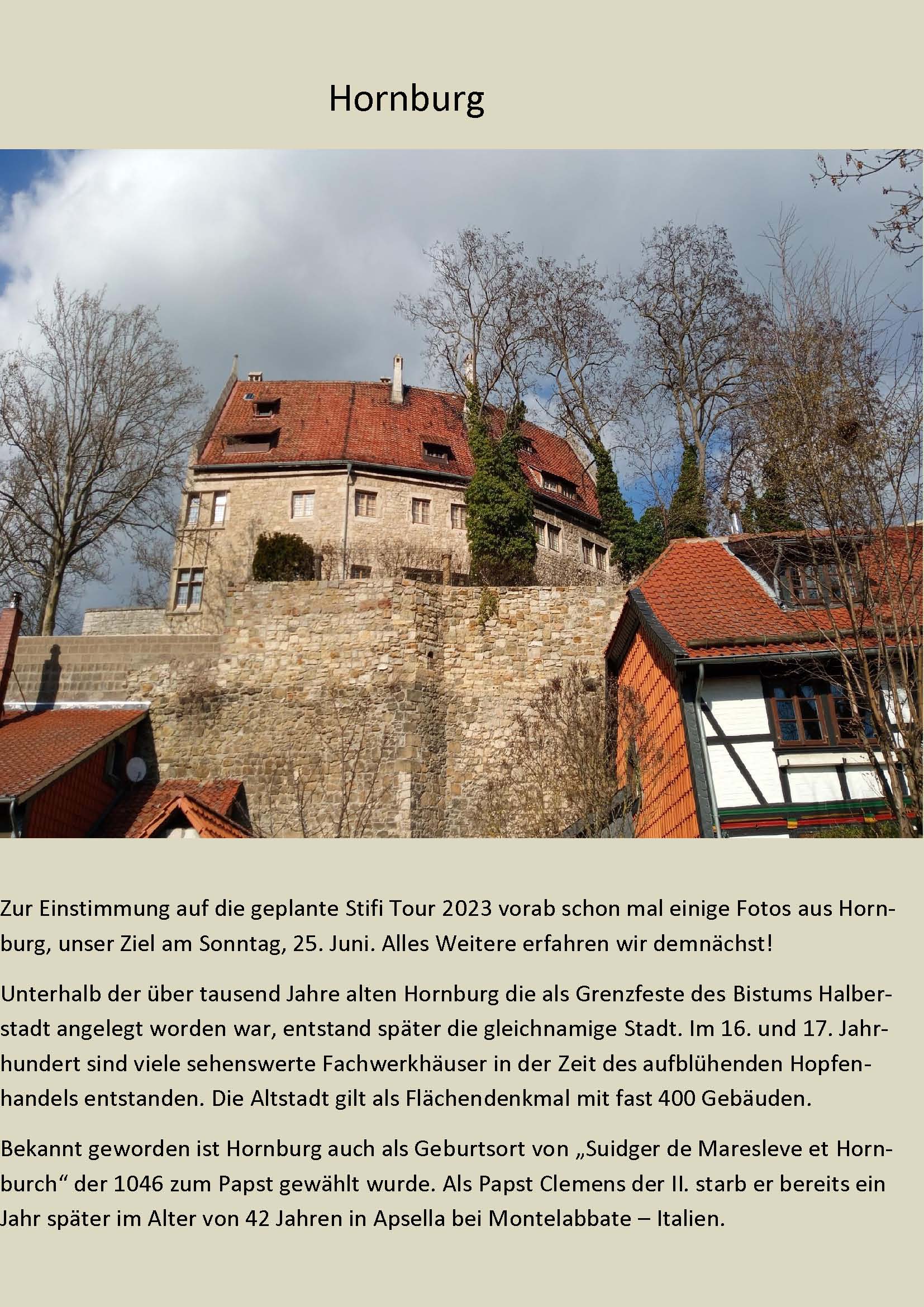 Hornburg Webpdf